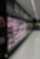 FREOR commercial refrigeration Hydroloop solution